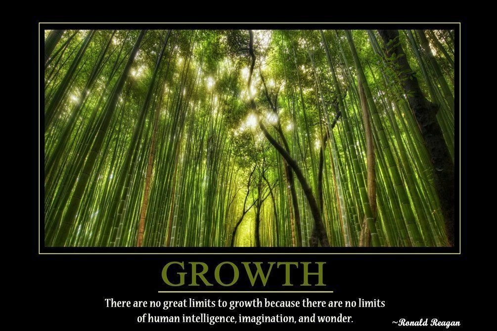 Motivational Self Positive Office Inspirational Wall Print Poster 20×30