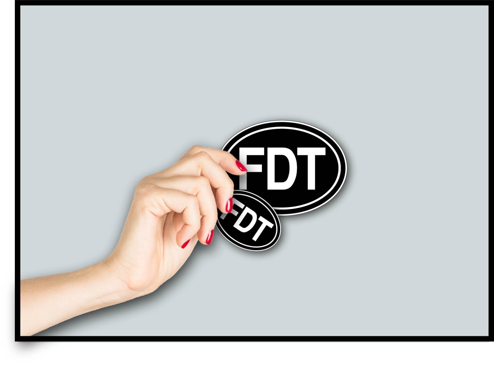 FDT Decal Sticker F Donald Trump Democrat Liberal Hillary Biden Kamala Harris US