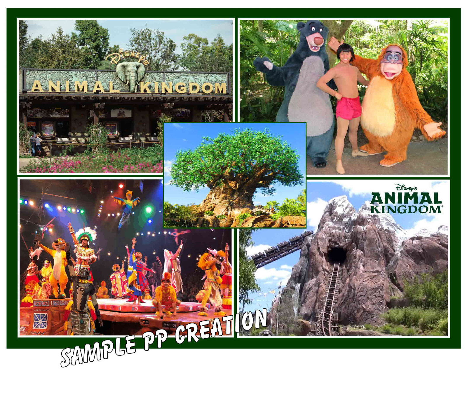 DISNEY ANIMAL KINGDOM Fridge Photo MAGNET 4 X 3 inches TRAVEL