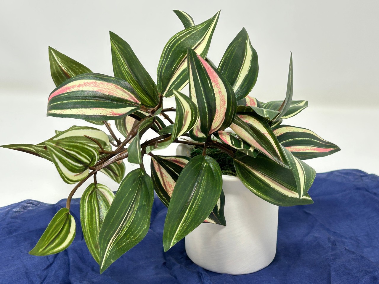 6.5″ Mini VARIEGATED JEW faux Silk plant potted in matte white Ceramic Pot, hand