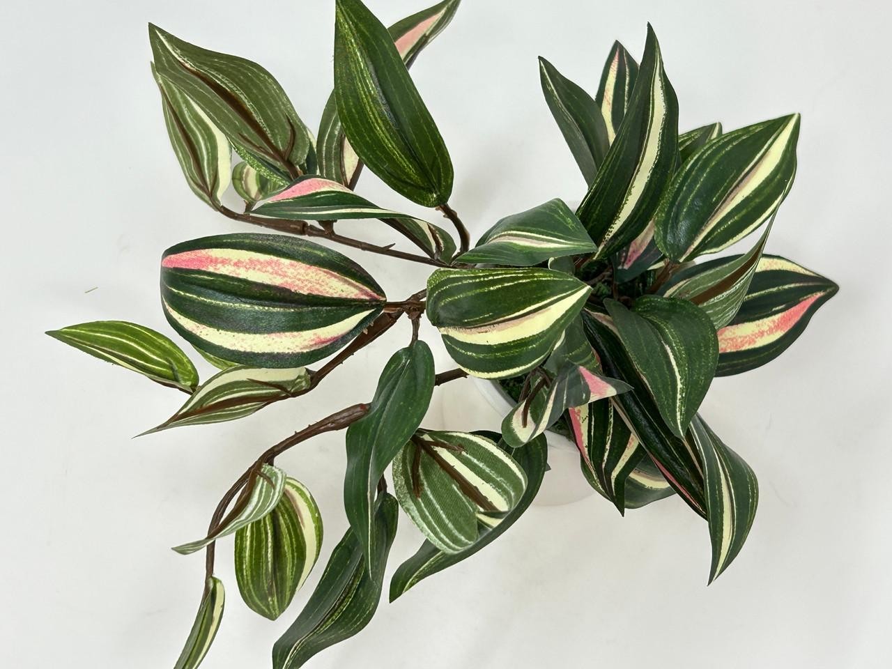 6.5″ Mini VARIEGATED JEW faux Silk plant potted in matte white Ceramic Pot, hand