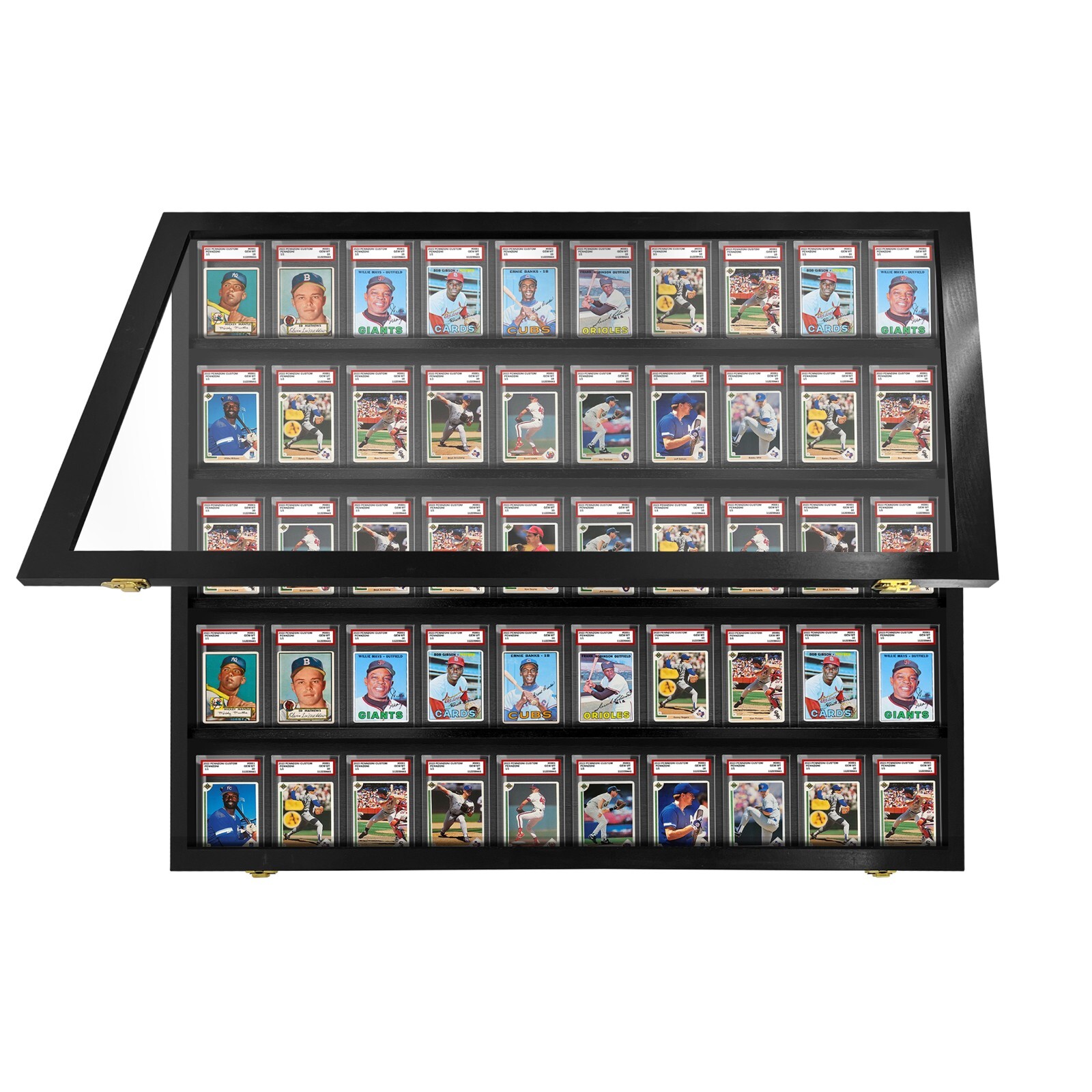Baseball Card Display Case for 50 Graded Baseball Cards / Made in the USA