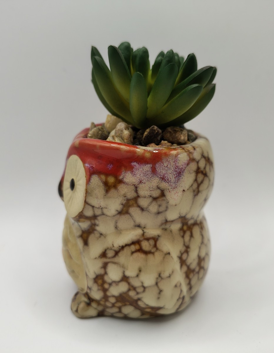 Owl Planter with Artificial Succulent Plant