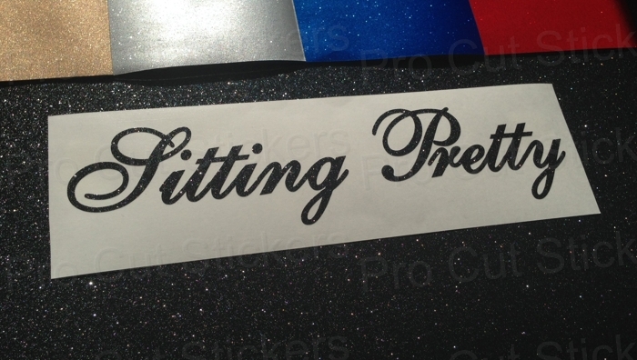 Sitting Pretty Small to Large Glitter Sparkle Funny Novelty Car Sticker Decal