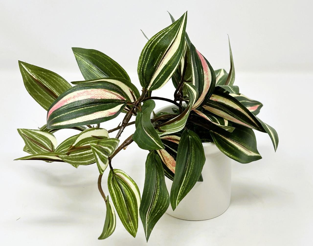 6.5″ Mini VARIEGATED JEW faux Silk plant potted in matte white Ceramic Pot, hand