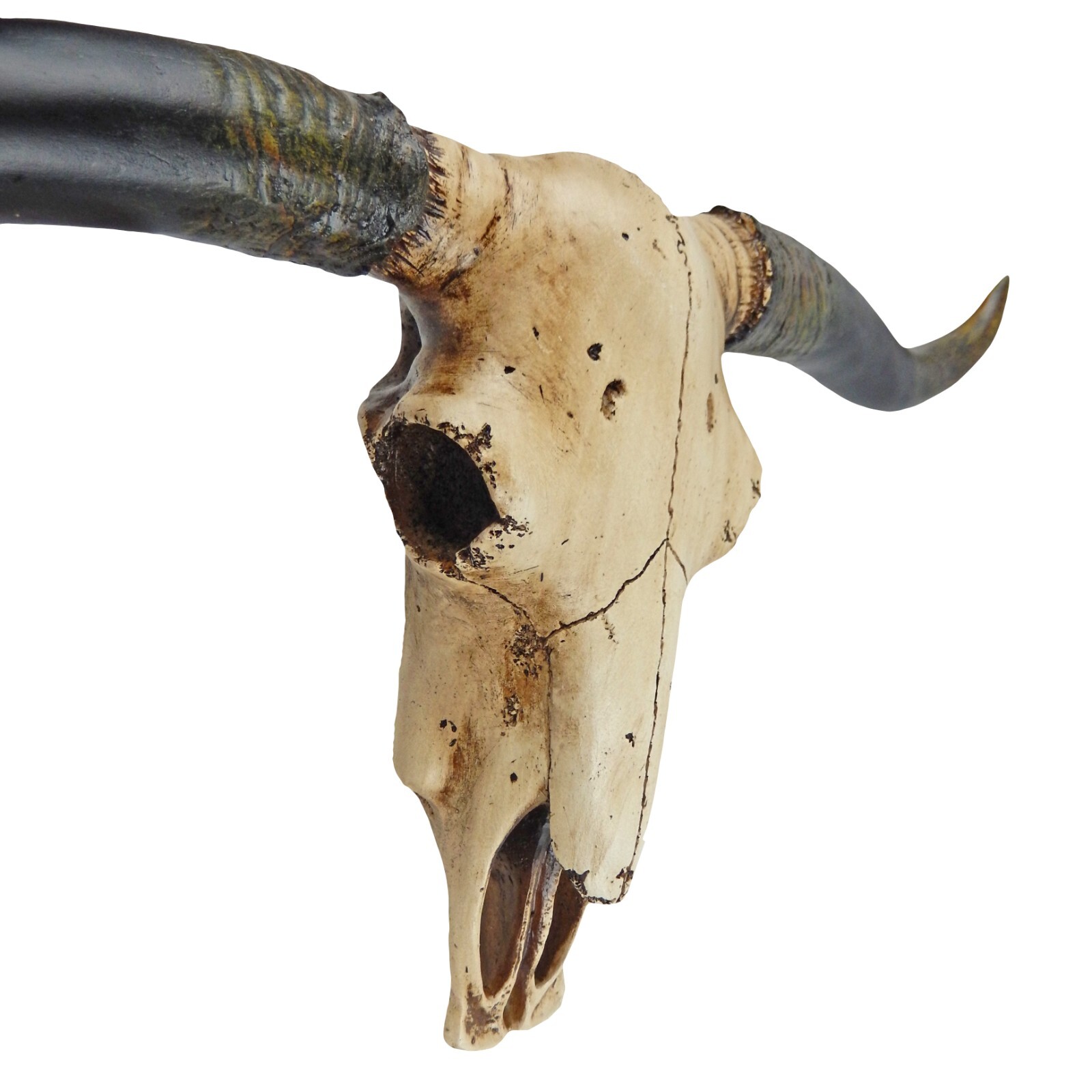 Southwestern Faux Texas Longhorn Skull Steer Rustic Cabin Ranch Decor 20 1/4″