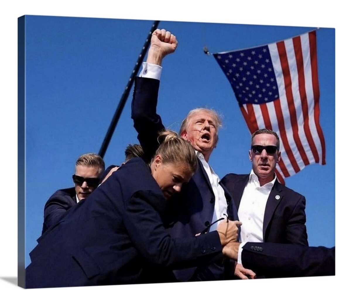 Donald Trump Canvas 16×20 Art 2024 President America Patriotic! FJB