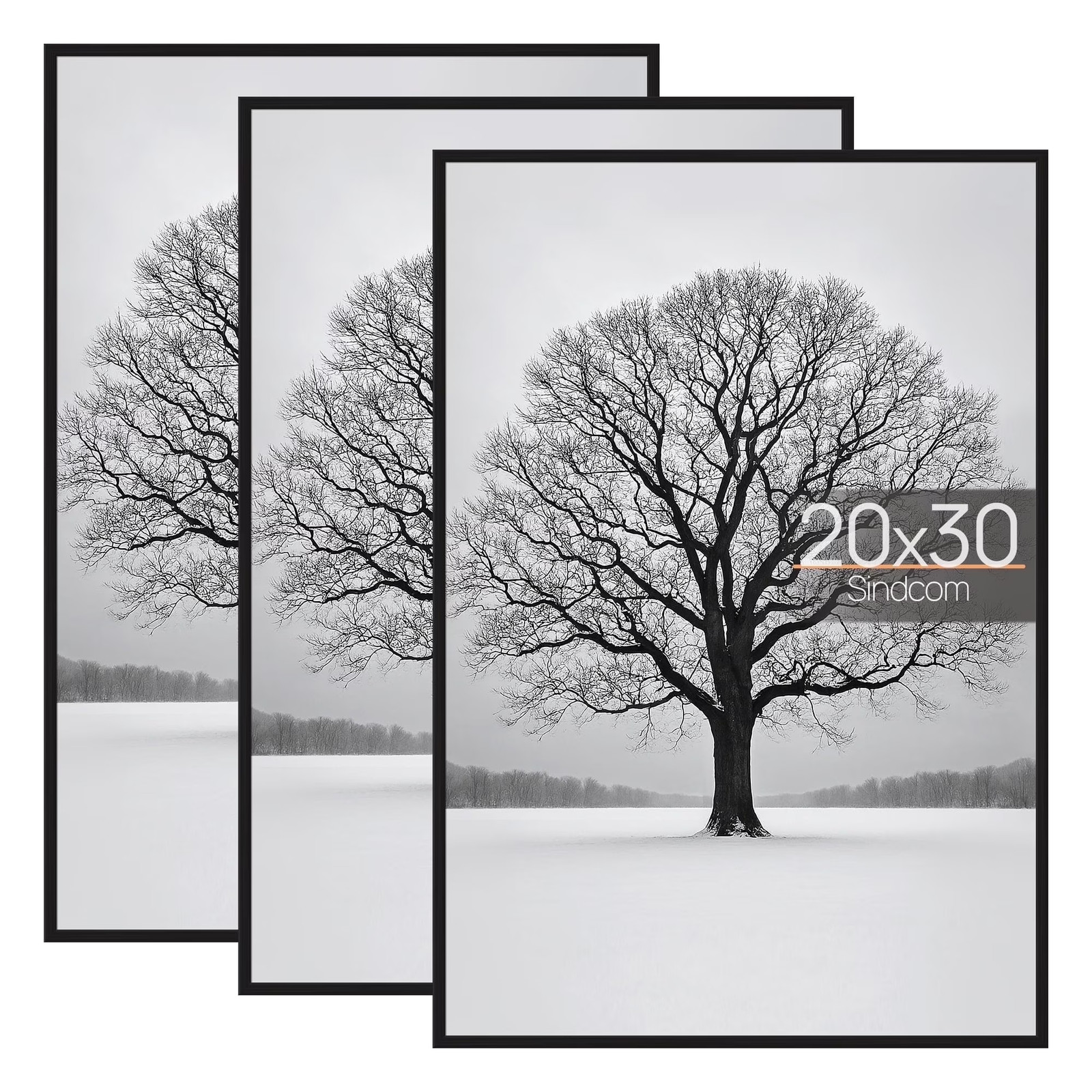 Picture Frames 3-Pack Posters 11×17, 16×20, 16×24, 18×24, 20×30, 24×24, 24×36