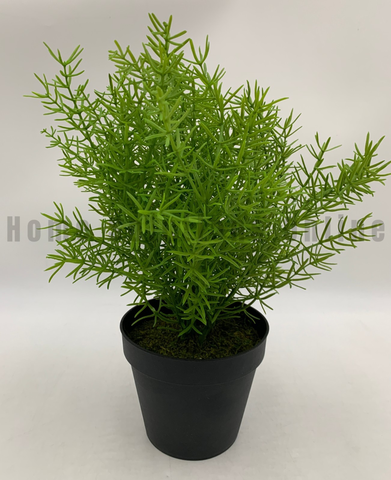 Pottery Barn Faux Potted Asparagus Fern Houseplant Medium 13″ #S8007