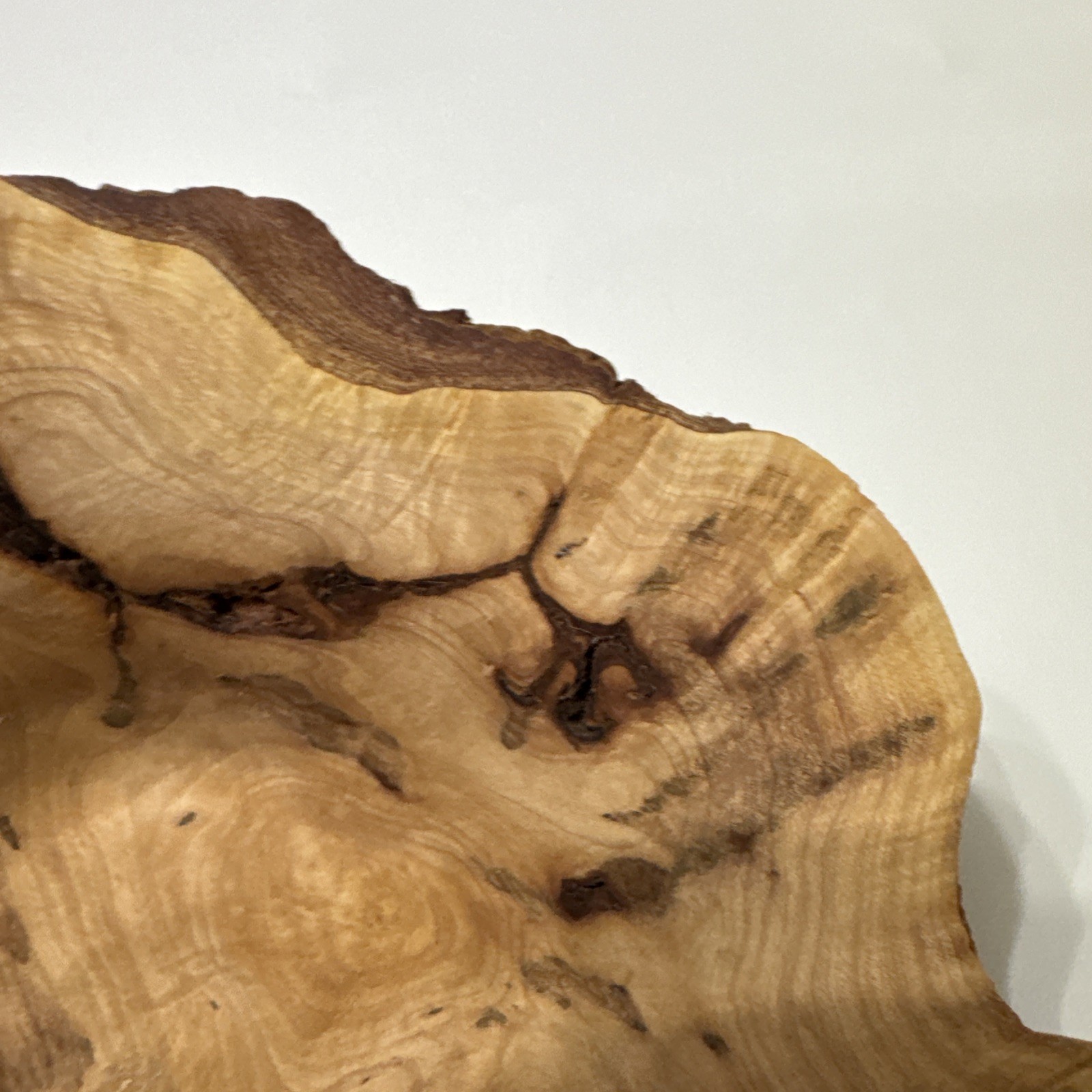 Hand Carved Root Wood Bowl Live Edge & Knot Tree Rustic Bowl Smooth 6.5”