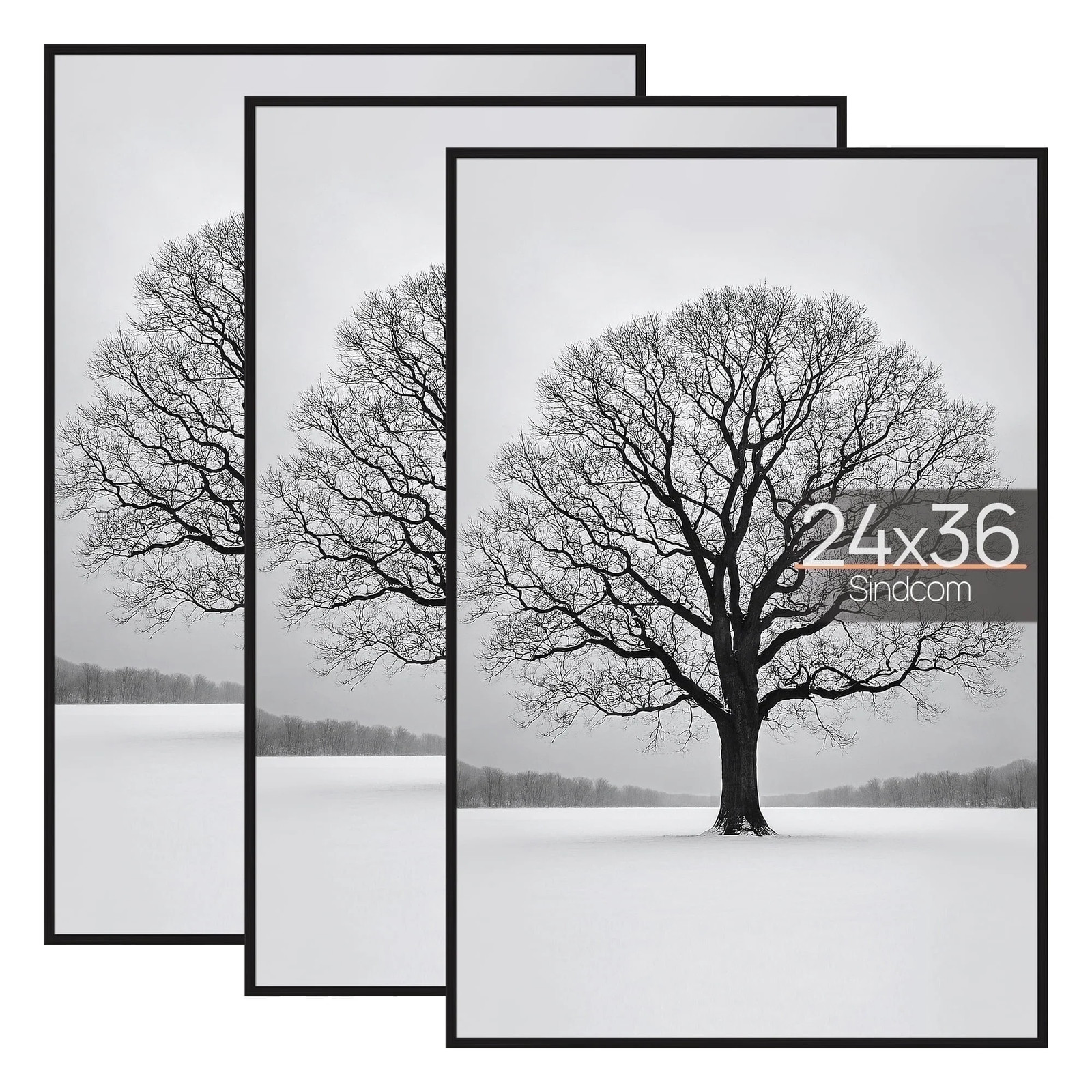 Picture Frames 3-Pack Posters 11×17, 16×20, 16×24, 18×24, 20×30, 24×24, 24×36