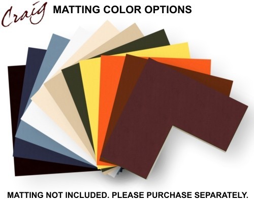 7×12 Single CD Wall Display Mat and Solid Black 1″ Wide Frame