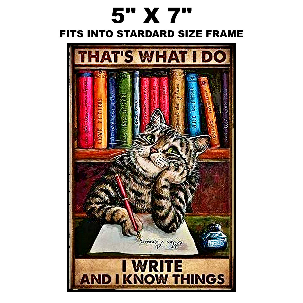 Cat Sticker Sign Kitten Display In Any Room Wall Art Funny I Know Things