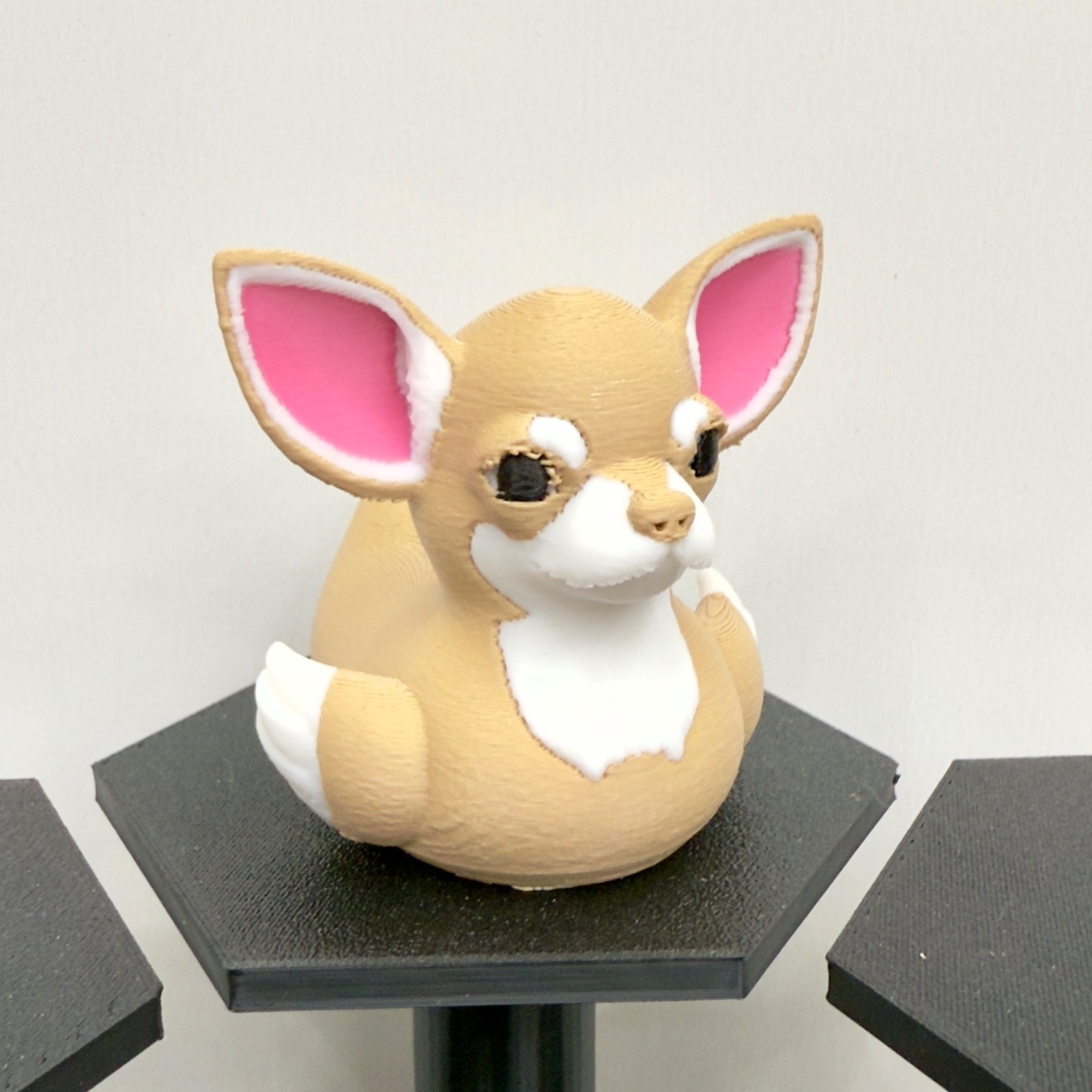 Chihuahua Duck | White Black Tan Brown Mix | Jeep Duck | Cruise Décor | 3D Print