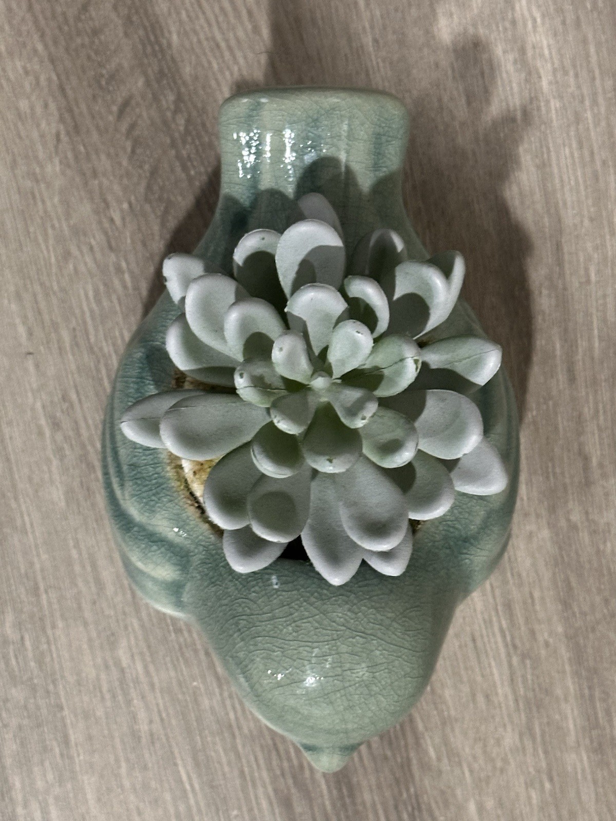 Ceramic Bird Figurine Succulent Planter With Faux Plant & Crackle Glaze Finish