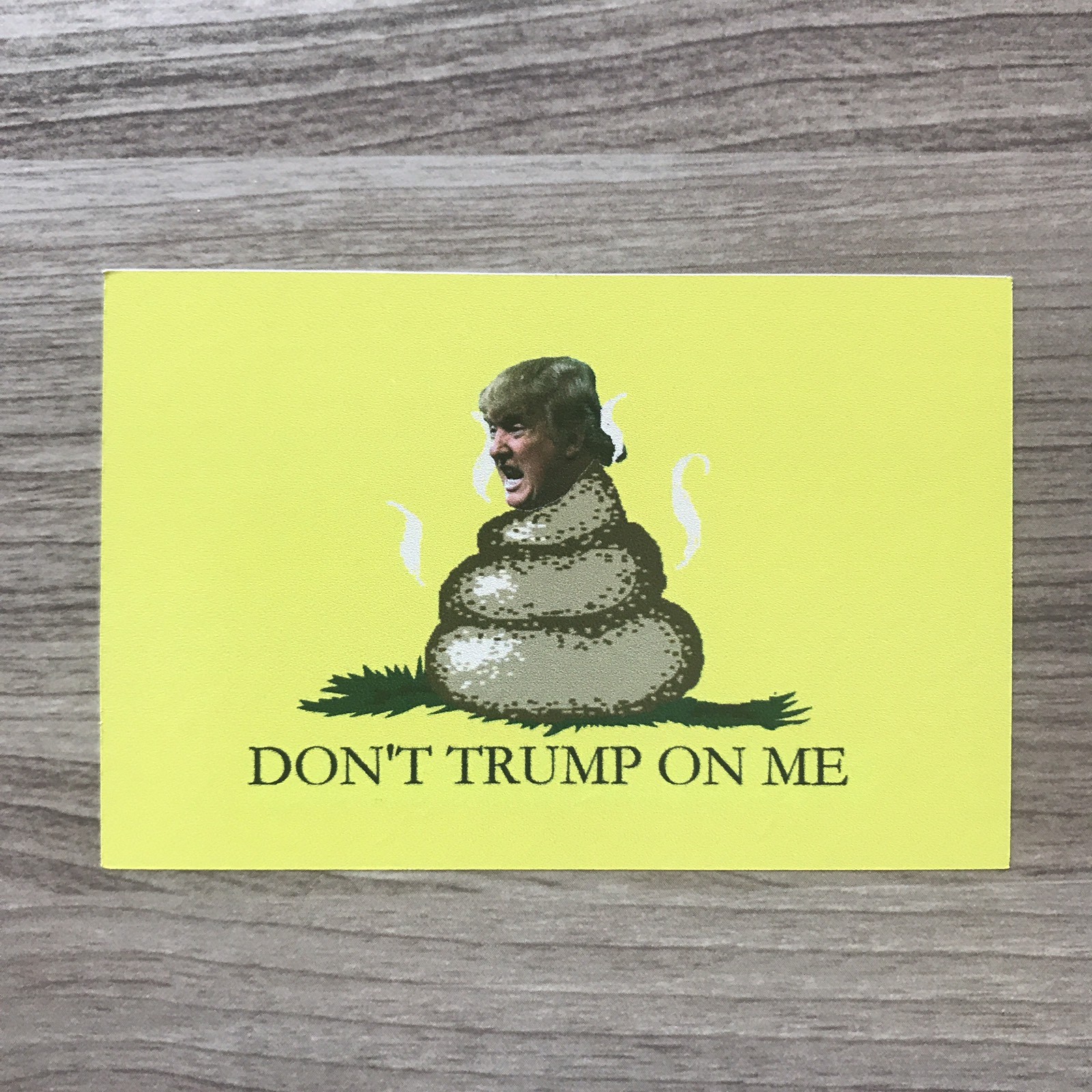 Dump Trump Donald Trump Vinyl Sticker Set – Free Shipping