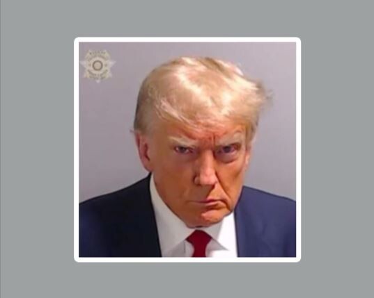 Donald Trump Mug Shot Die Cut Glossy Vinyl Sticker