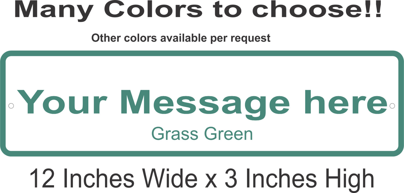 Personalized Custom Aluminum Sign Customized With Your Message 12 In x 3 In