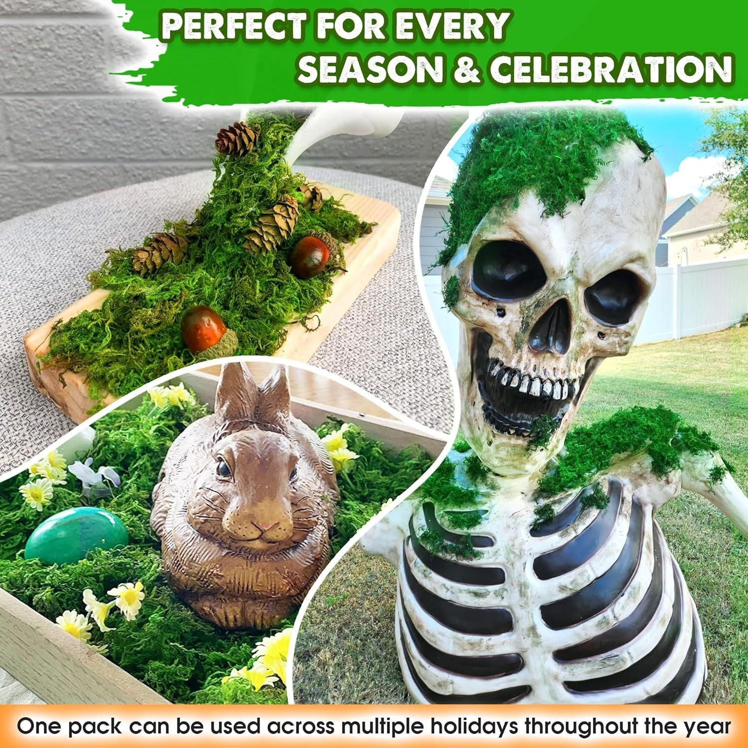 2 oz Green Forest Moss for Crafts – Real Dried Decorative Moss for Home Decor