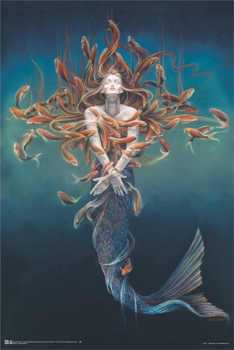 Metamorphosis By: Sheila Wolk Poster 24in x 36in
