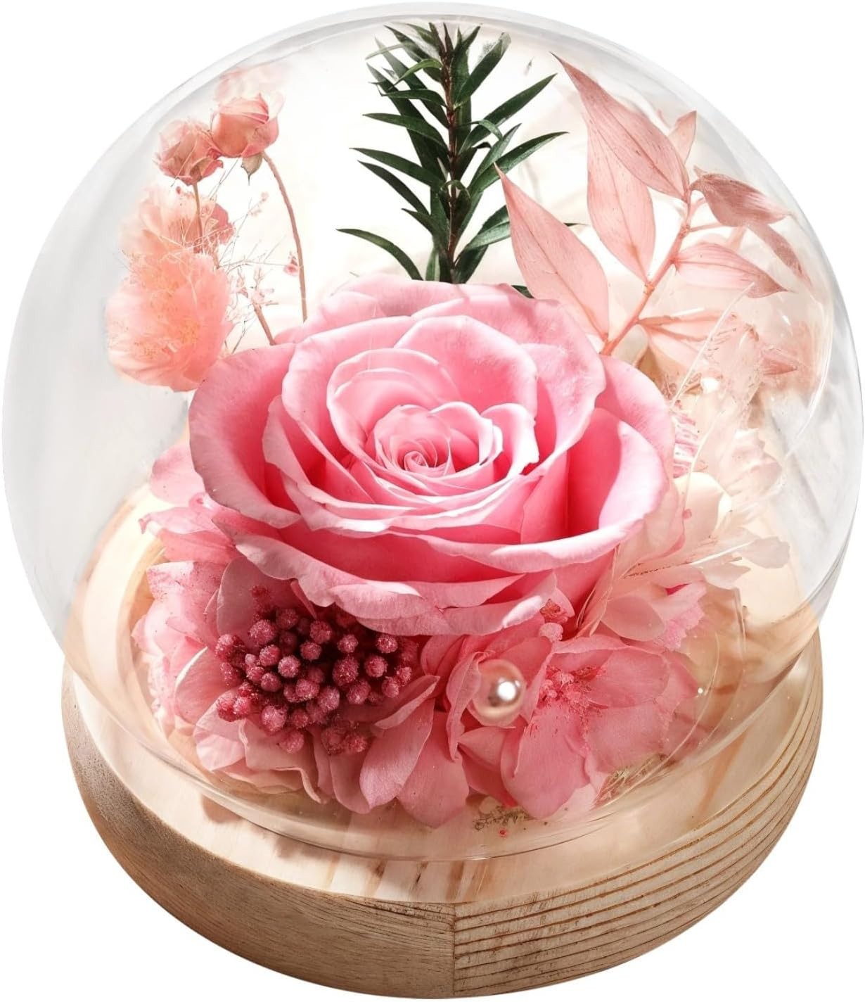 Long-Lasting Real Rose Flower, Unique Preserved Floral Gift for All Occasions