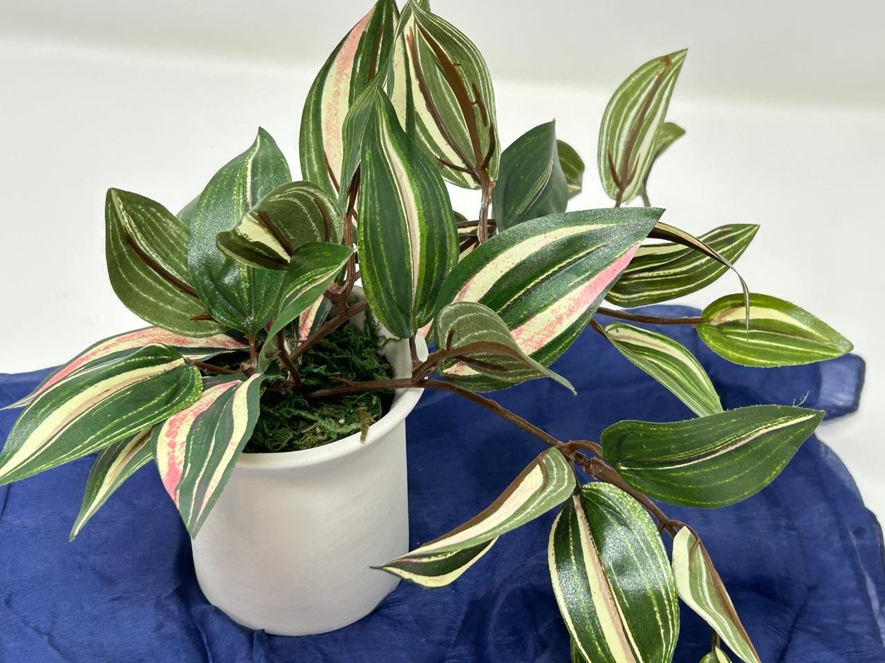 6.5″ Mini VARIEGATED JEW faux Silk plant potted in matte white Ceramic Pot, hand