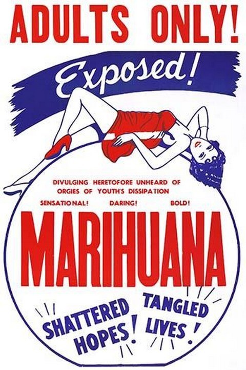 Adults Only! Marihuana – Art Print
