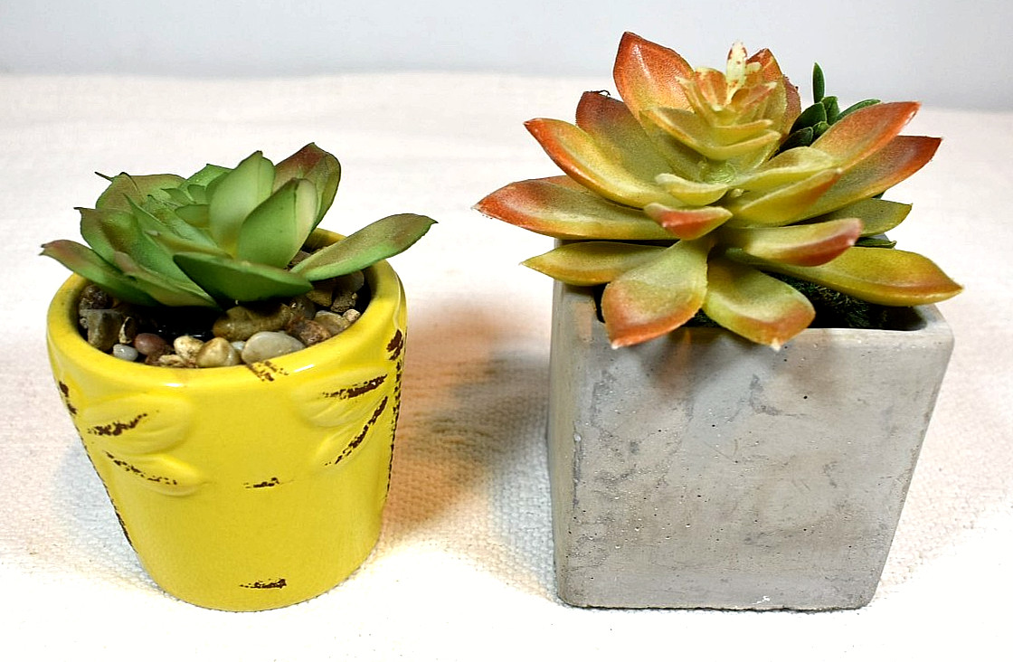 ARTIFICIAL SUCCULENT PLANTS, Set of 2 In Pots, Echeveria & Echeveria/Jade Mix