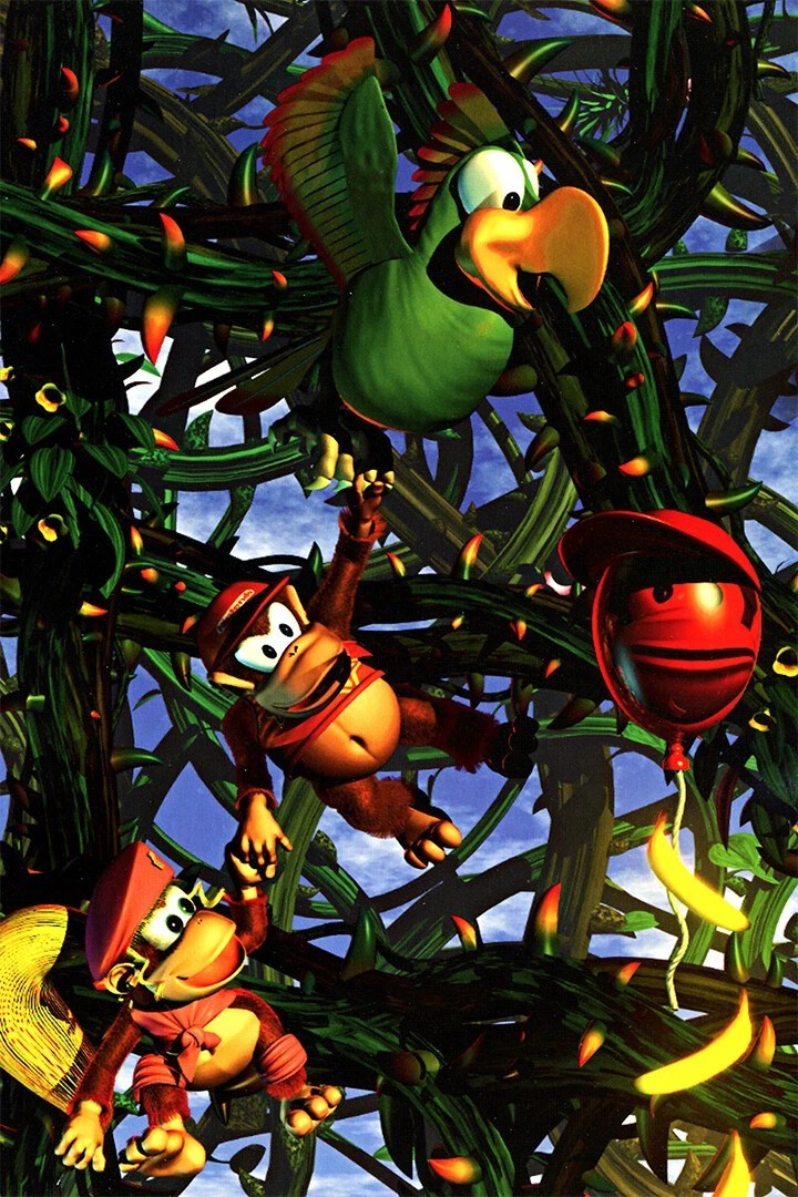 Donkey Kong Country 2 Super Console Box Game Poster print 11″x17″ inches