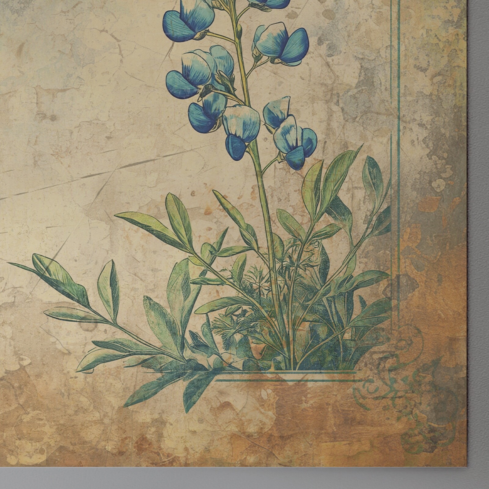 VINTAGE BLUEBONNET Wall Art, Retro TEXAS Flower Poster, Western Botanical Decor