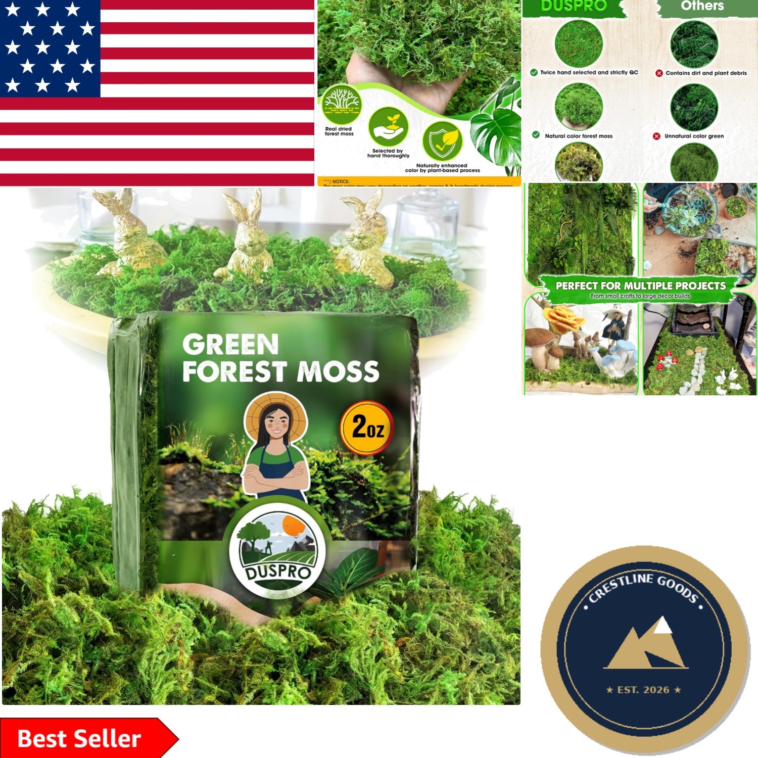 2 oz Green Forest Moss for Crafts – Real Dried Decorative Moss for Home Decor