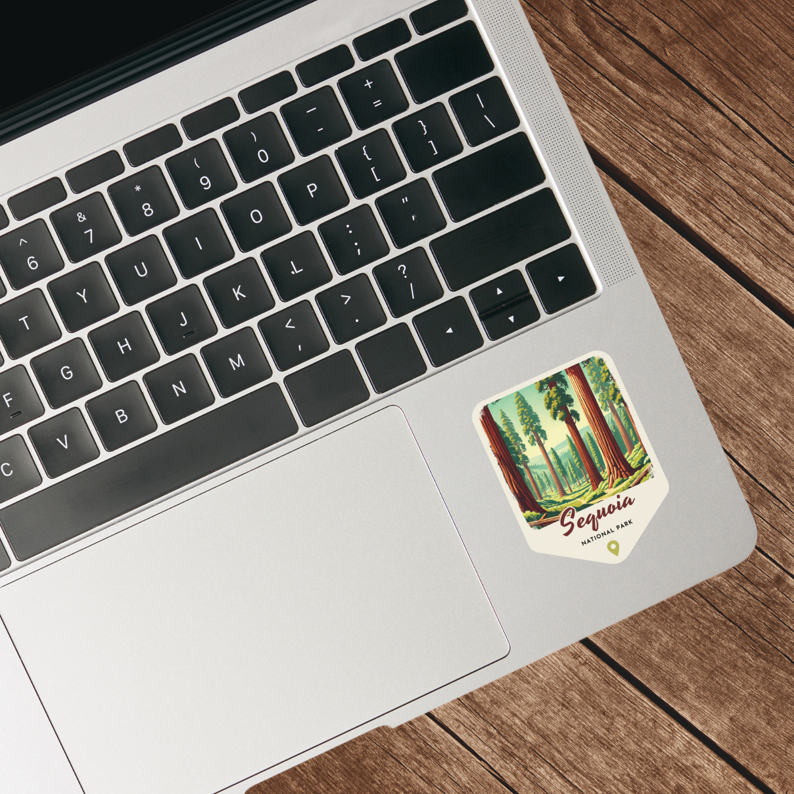 Sequoia National Park Sticker California Retro Style Waterproof Vinyl Decal