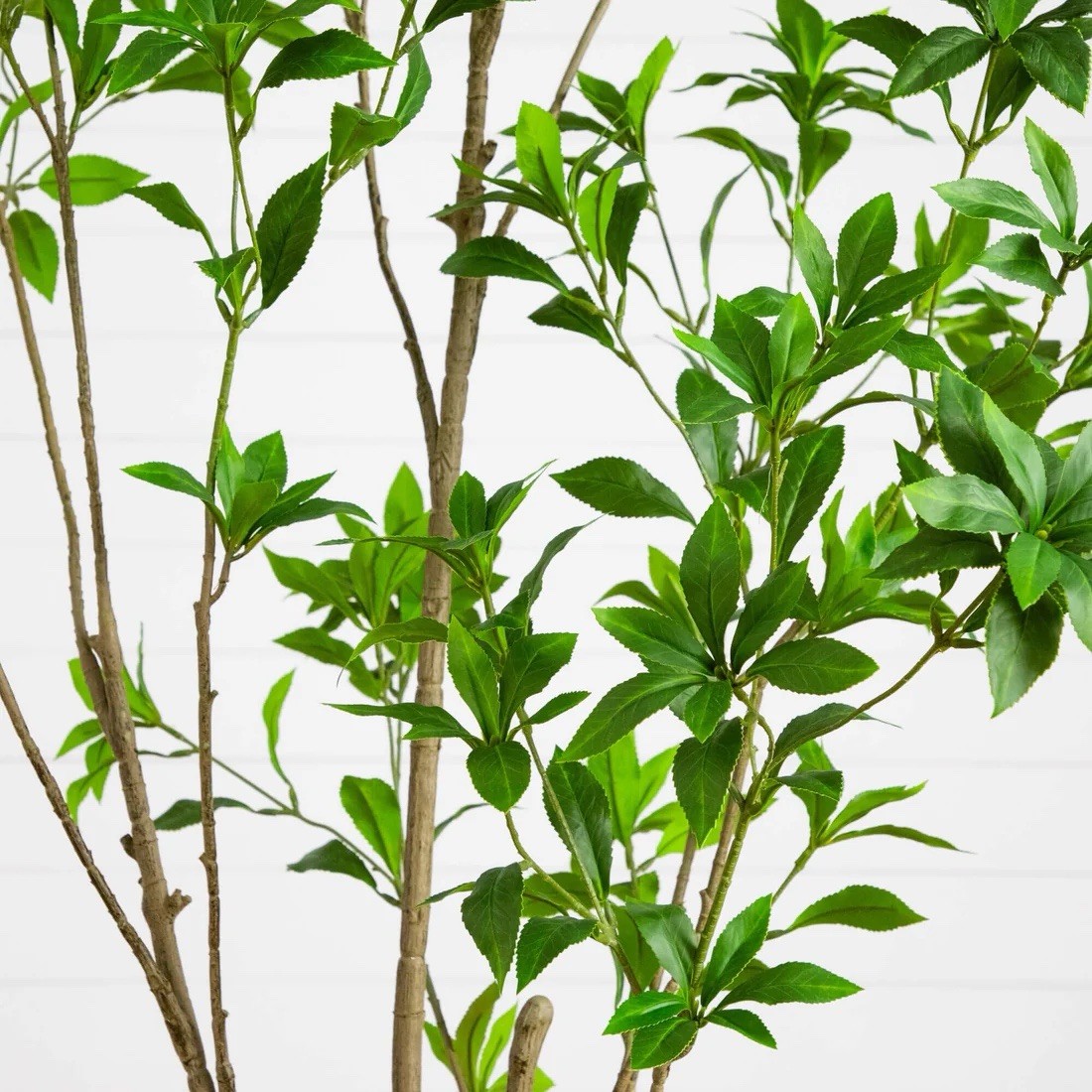 6′ Artificial Minimalist Japanese Pieris Tree