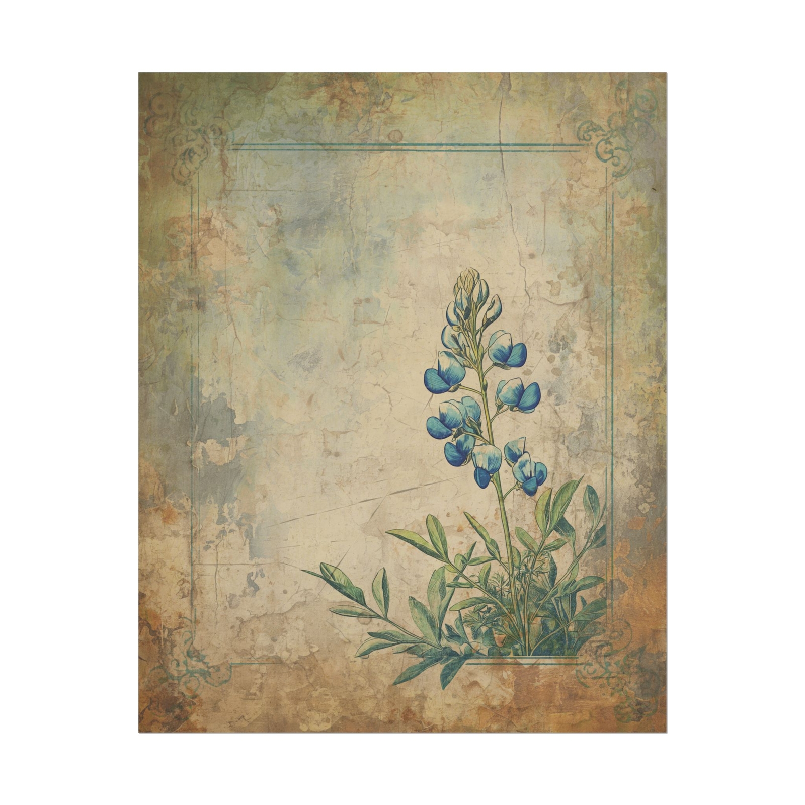 VINTAGE BLUEBONNET Wall Art, Retro TEXAS Flower Poster, Western Botanical Decor