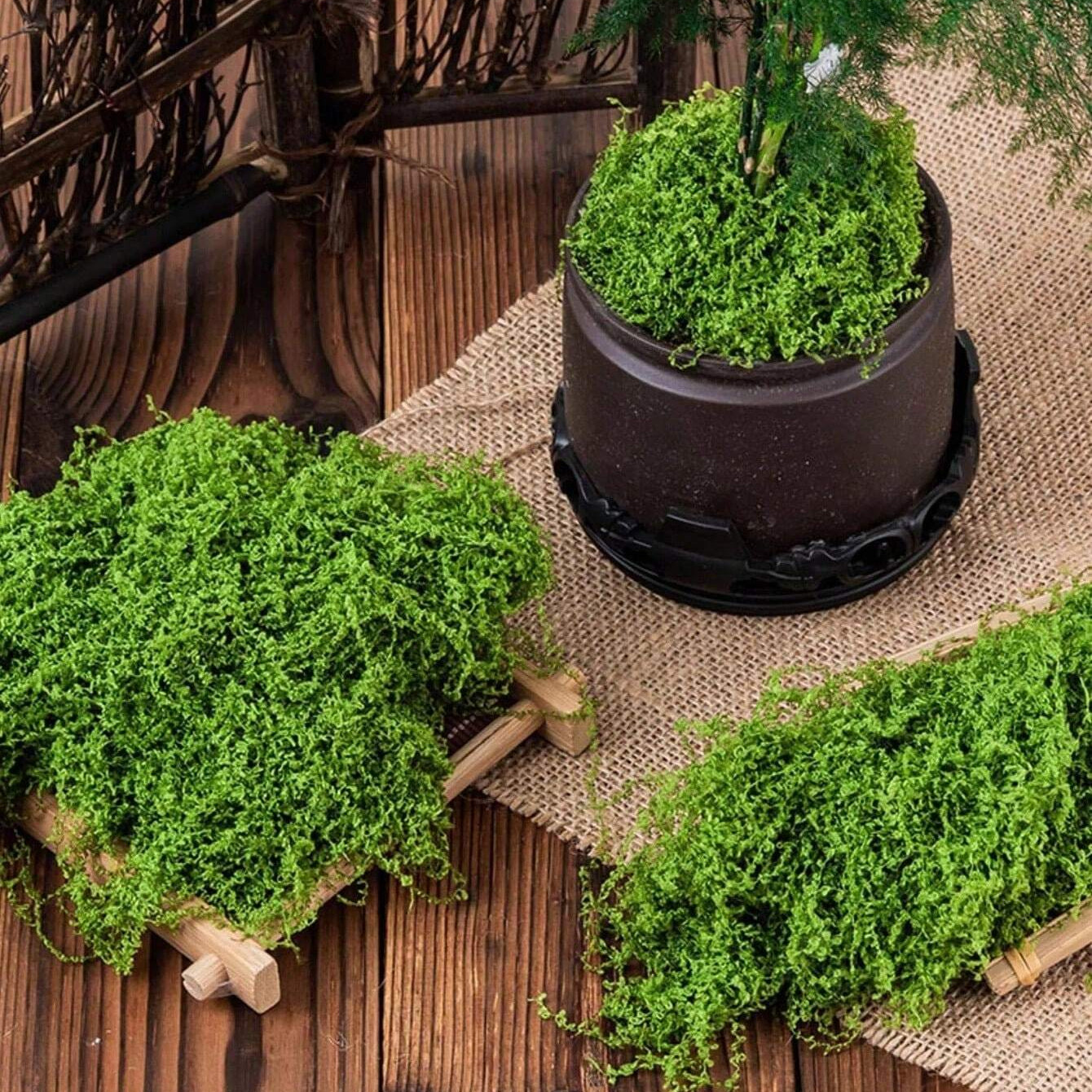 Artificial Moss Fake Green Plant Simulation Grass Centerpiece Decor For DIYCraft