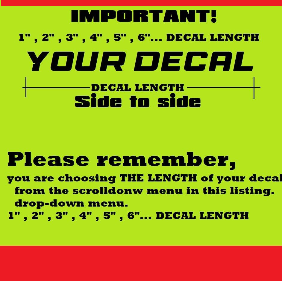 Custom Made Decal Sticker Vinyl For Car, Motorcycle, Truck, Bike, RV,ANY TEXT (9