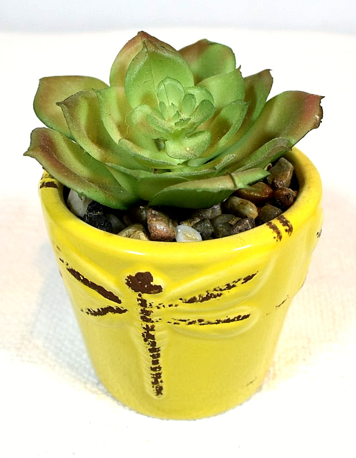 ARTIFICIAL SUCCULENT PLANTS, Set of 2 In Pots, Echeveria & Echeveria/Jade Mix