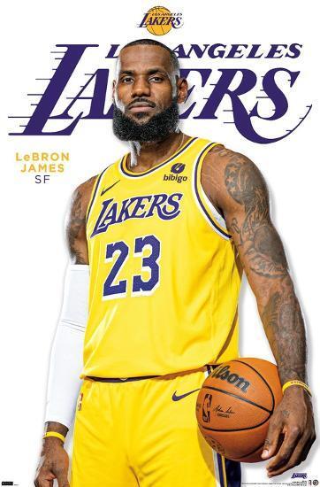 LEBRON LOS ANGELES LAKERS Wall Vinyl Basketball Decal Removable Adhesive Backing