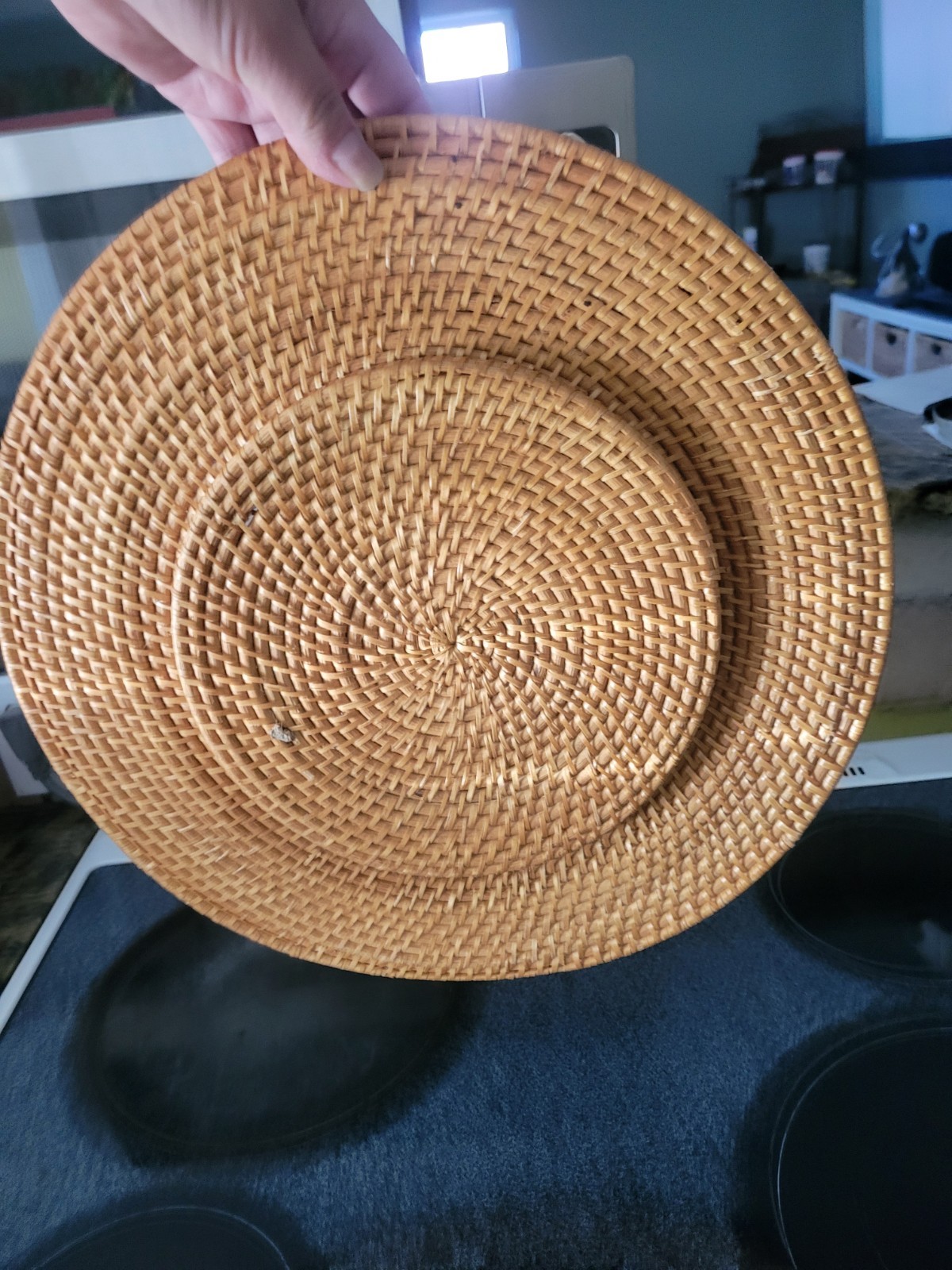 Vintage 8 Pottery Barn Sea Shell Rimmed Rattan Charger Beach Hand Woven