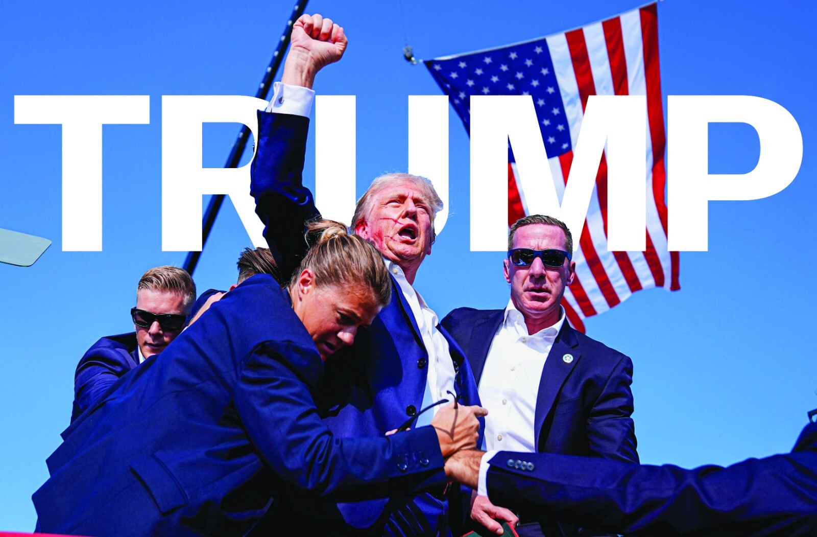 Donald Trump Assassination Attempt~3 Sizes~ 4 Styles~ Wood Framed Picture Print