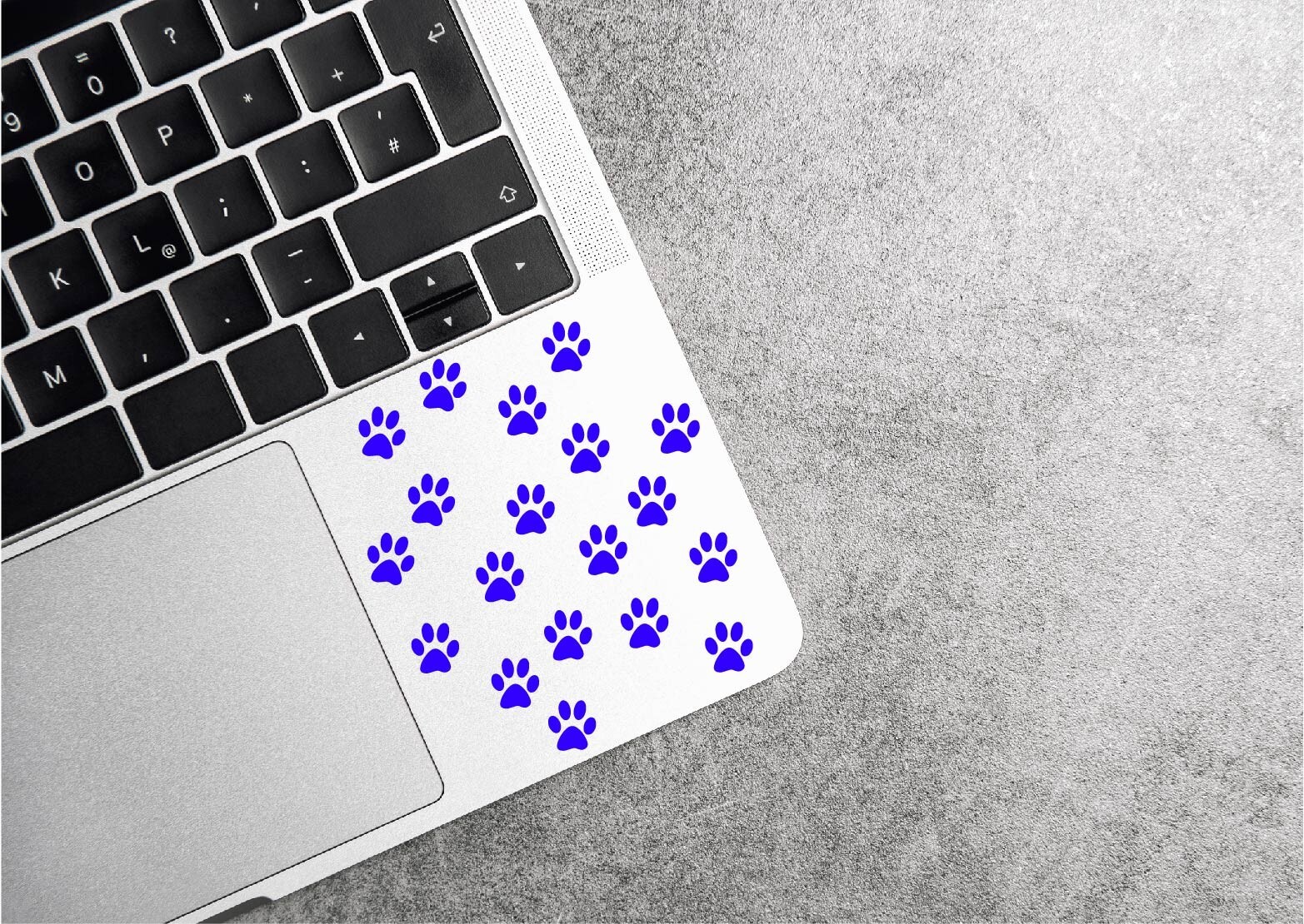 Set of 60 – 1/2 Inch Pawprint Decal Bundle Sticker Pet Dog Cat Paw Prints Small