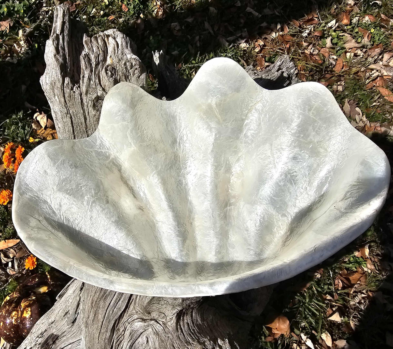1-CAPIZ SEASHELL Clam Shape Bowl,Wedding Decor,Beach Decor,All Occasion Gifts