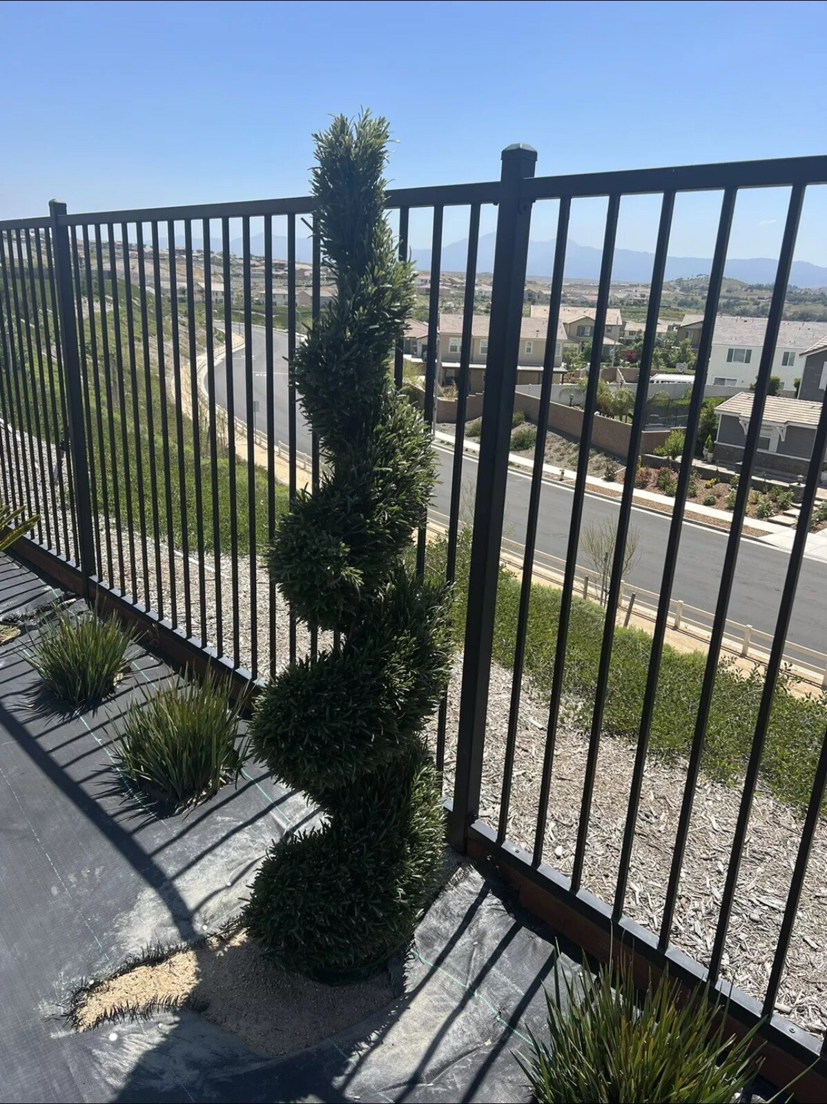 6’ Artificial Rosemary Topiary Spiral Tree UV Resistant Indoor/Outdoor.