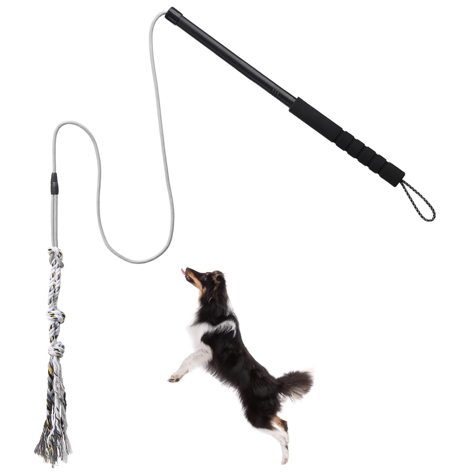 Flirt Pole for Small Medium Dogs,Interactive Chase and Tug of War Black