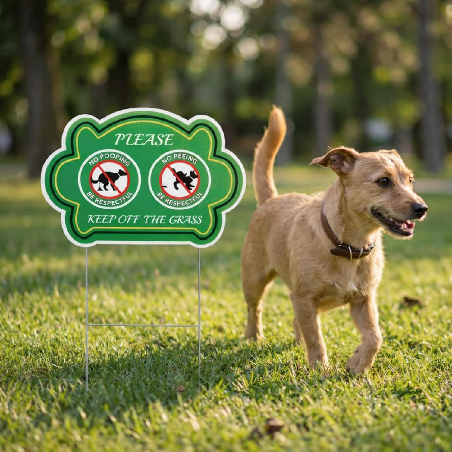 – No Peeing and No Pooping Dog Sign, 2 Pack with 1 Metal Stake, Double-Sided, Wa