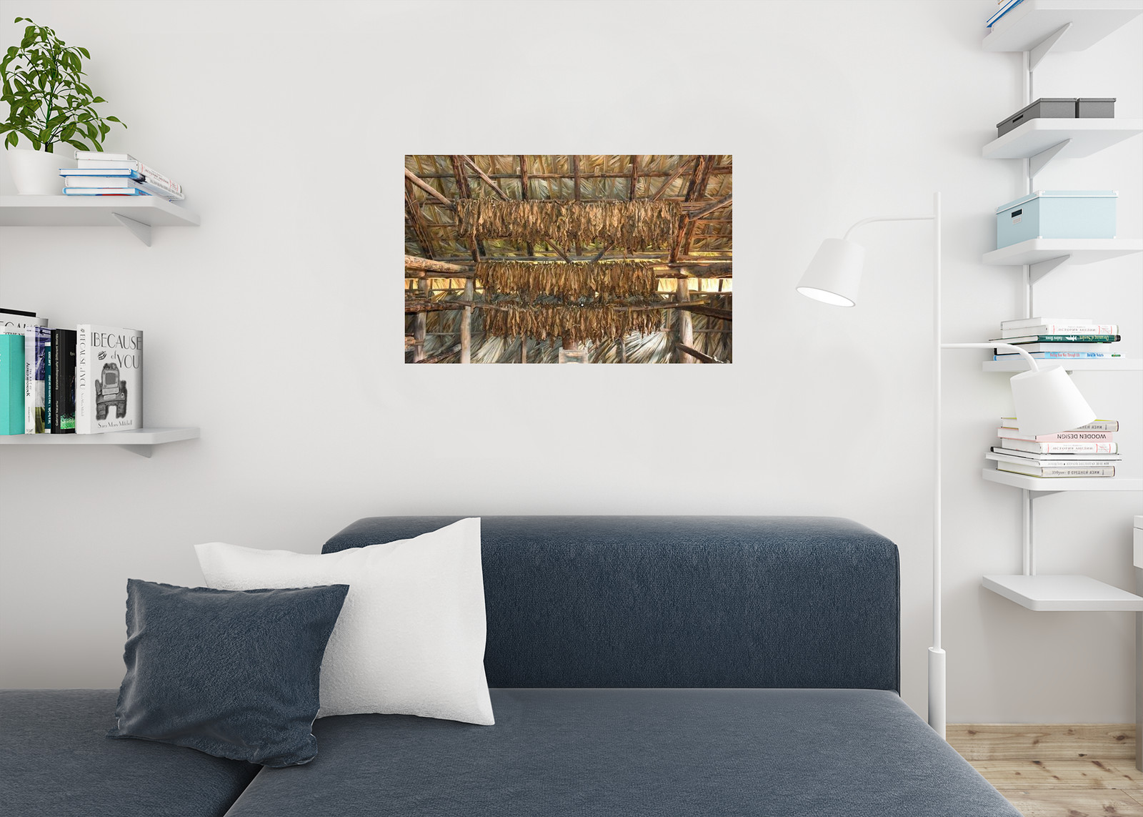 Tobacco Leaves Drying in Organic Farm in Cuba Photo Photograph Poster 36×24