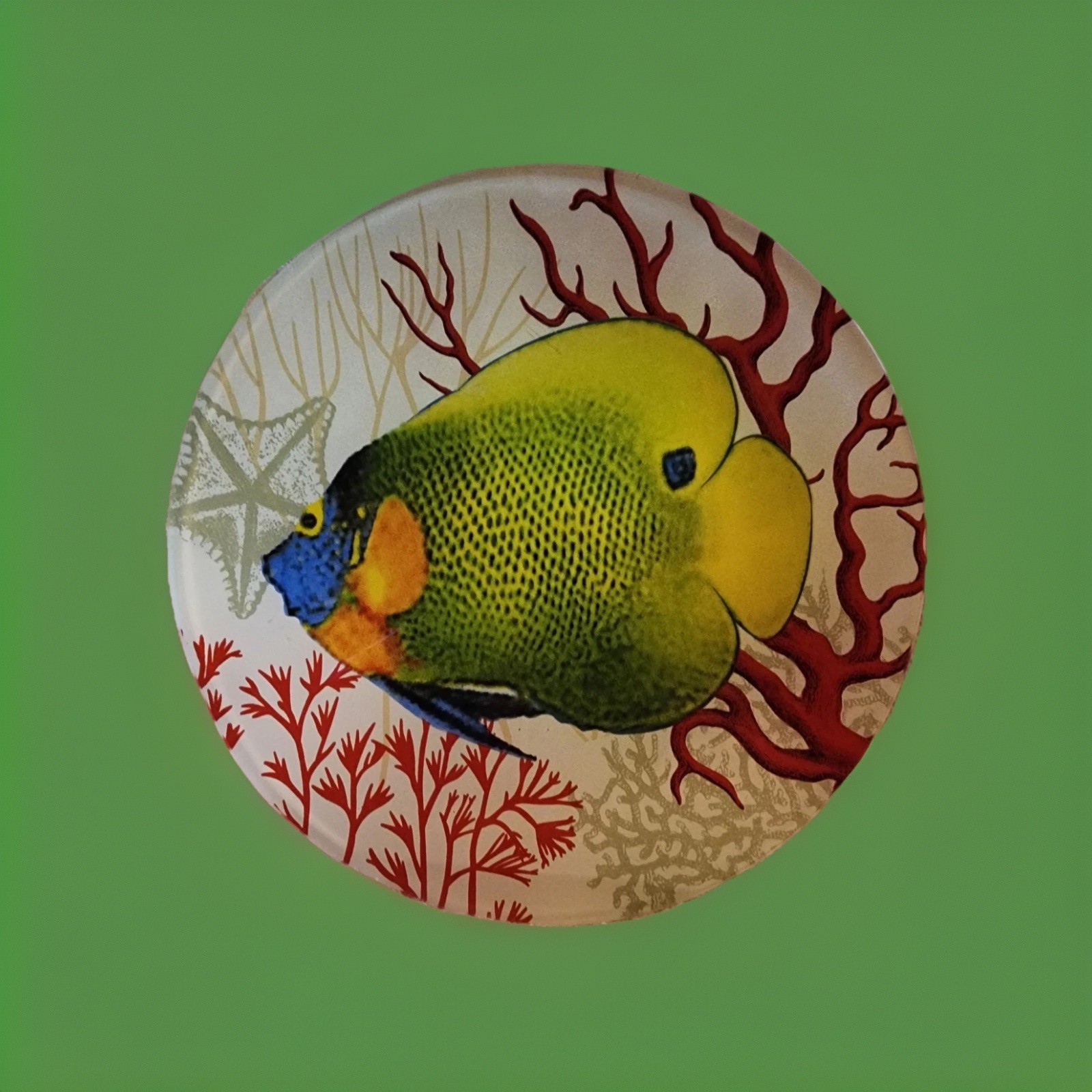 Two’s Company Exotic Fish Decorative Glass Plate 8” Blue Face Angel Fish