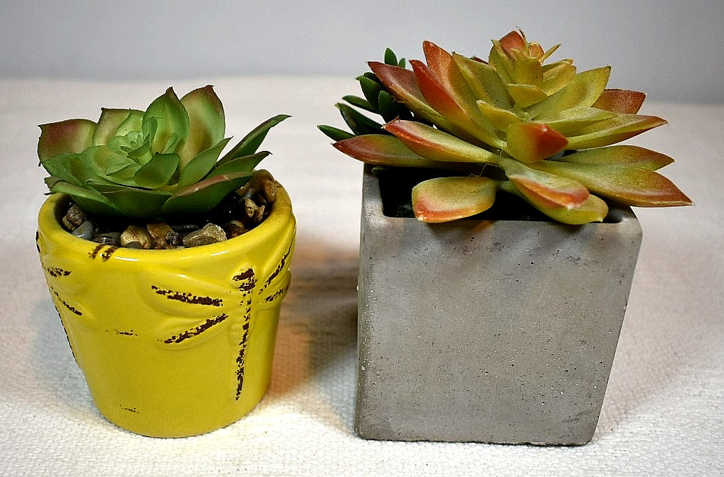 ARTIFICIAL SUCCULENT PLANTS, Set of 2 In Pots, Echeveria & Echeveria/Jade Mix