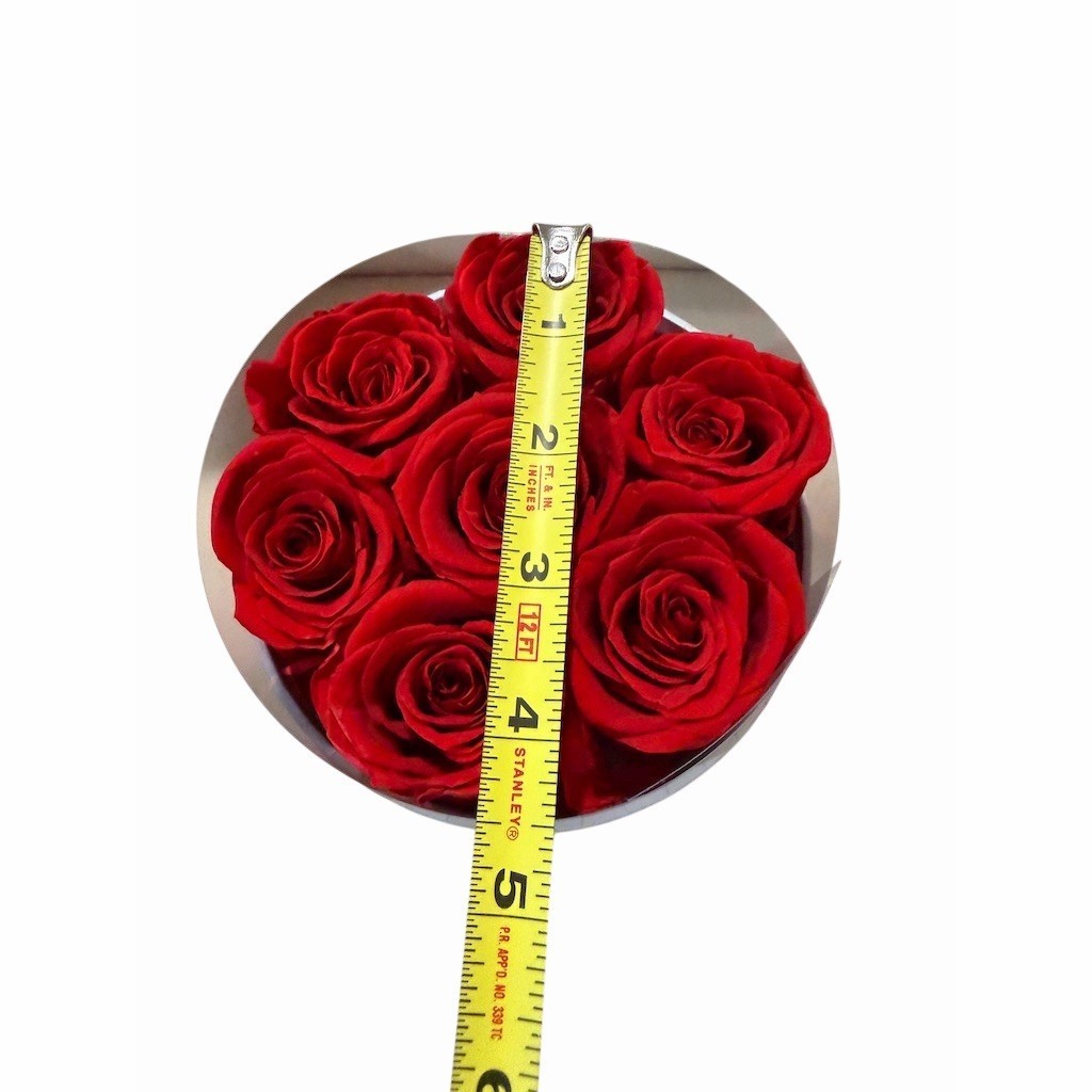 NEW REALRed Rose Arrangement in White Round Hat Box Romantic All Occasions Decor