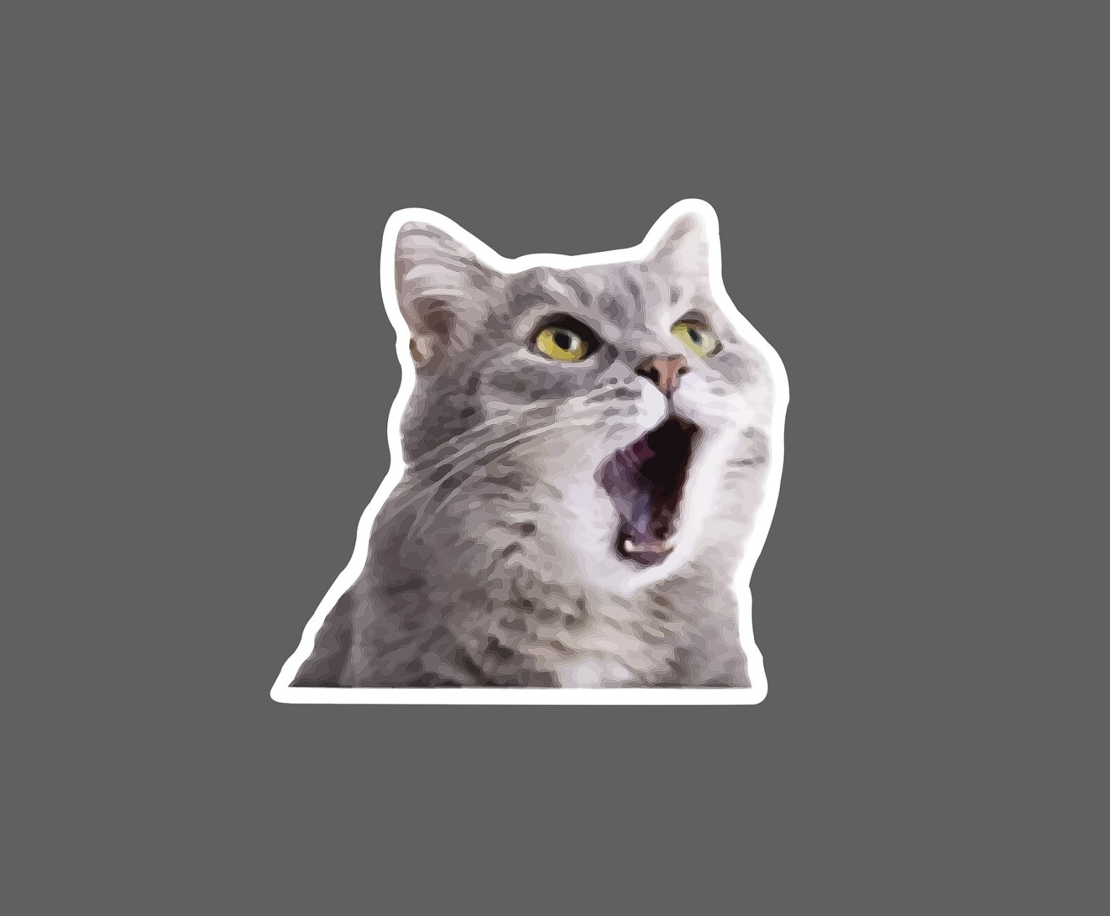 Surprised Cat Sticker Meme Waterproof NEW – Buy Any 4 For $1.75 EACH Storewide!